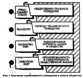 Поведение курсовая