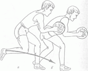 Курсовая работа по теме Техническая подготовка юных волейболистов